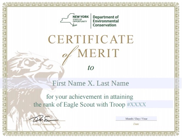 Certificate of Merit Template