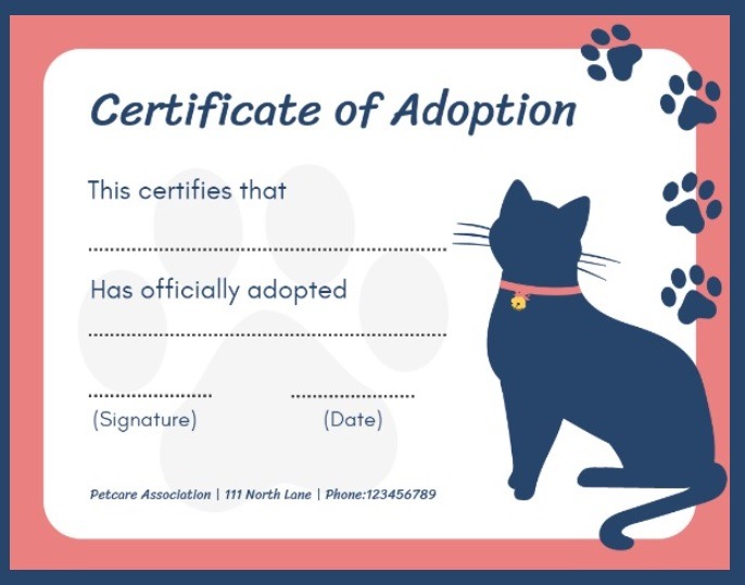 Adoption перевод. Adoption Certificate. Adoption Certificate примеры. Adoption Certificate of animal. Kitten adoption Certificate.